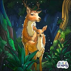 Meet your Posher, Irelyn